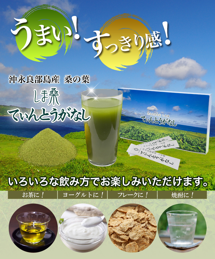 沖永良部島産 桑の葉
